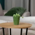Modena Apartment